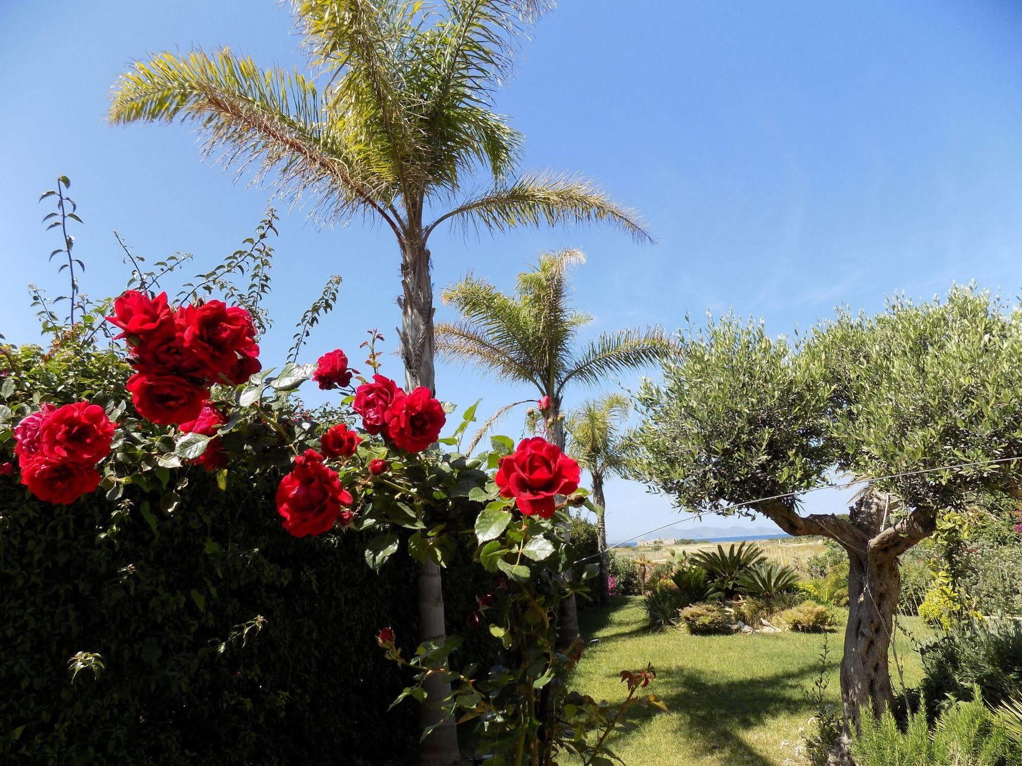 - Vista Egadi - Bed & Breakfast Torre Nubia Exterior foto