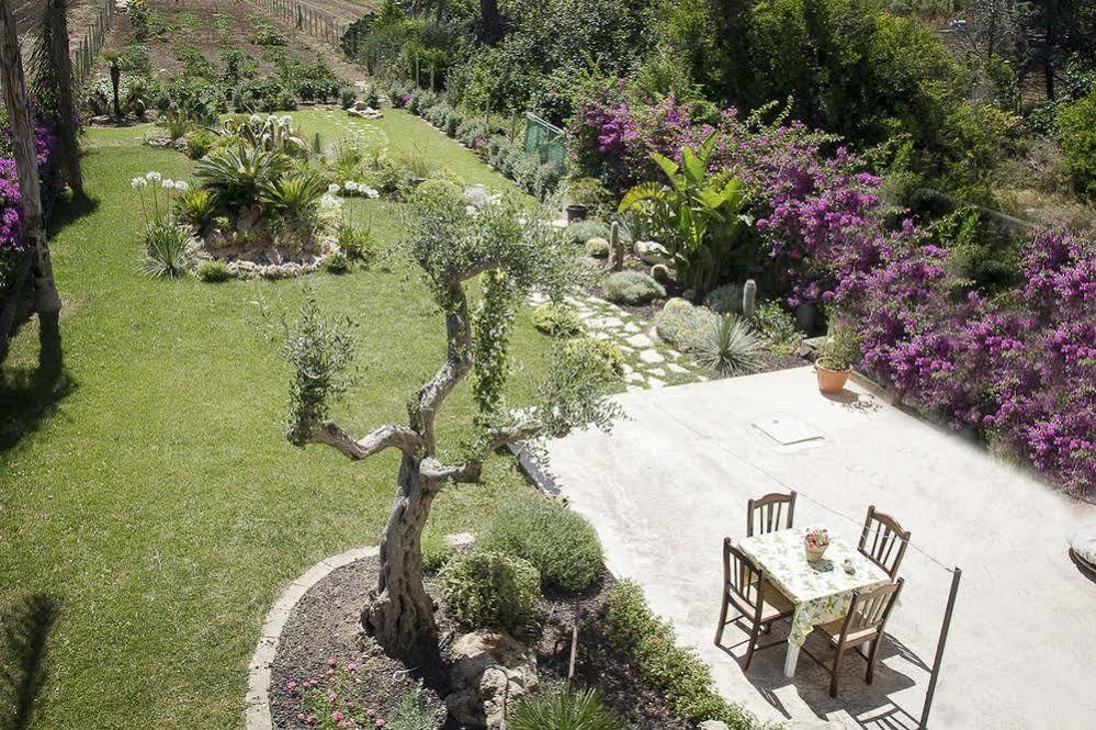 - Vista Egadi - Bed & Breakfast Torre Nubia Exterior foto